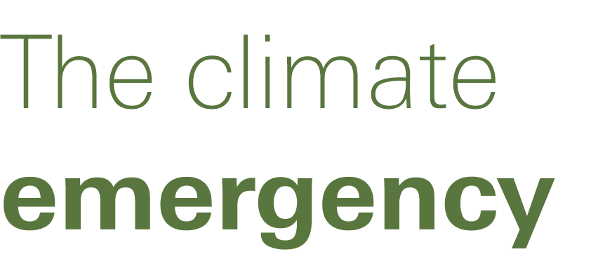 The climate emergency