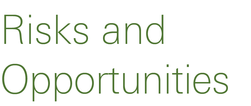 Risks and Opportunities 