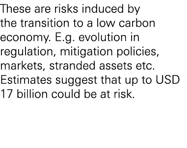These are risks induced by the transition to a low carbon economy. E.g. evolution in regulation, mitigation policies,...