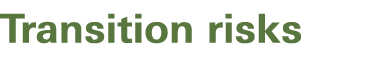 Transition risks
